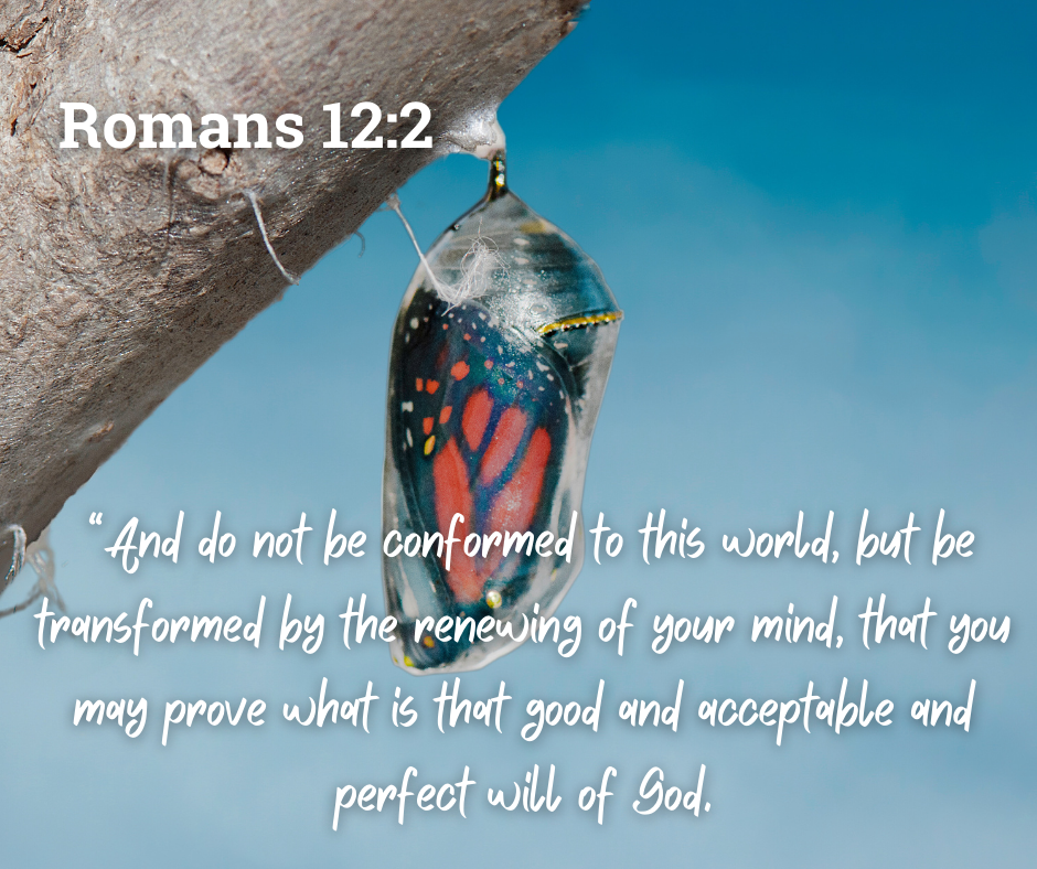 Transformation & Renewal